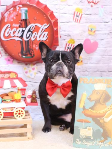 20230901スミレちゃん